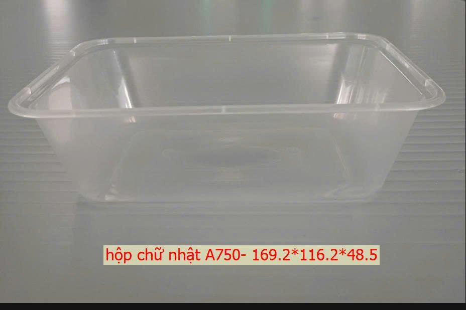 Hộp 4